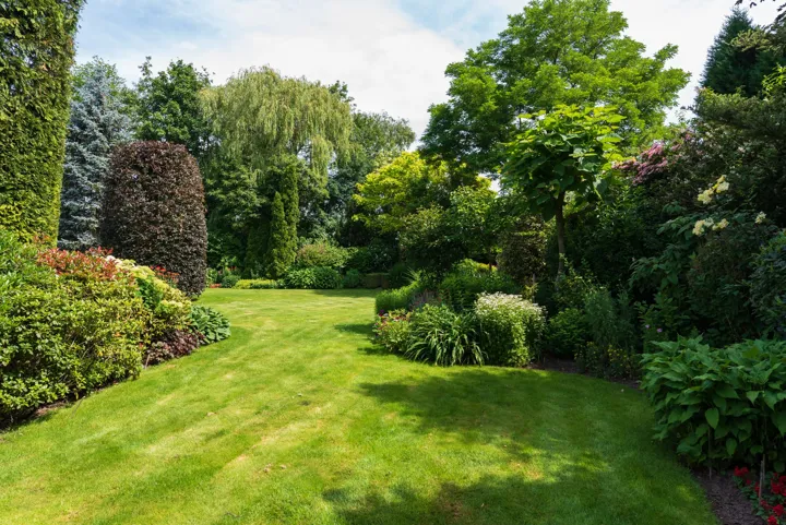 Foto van de siertuin 6
