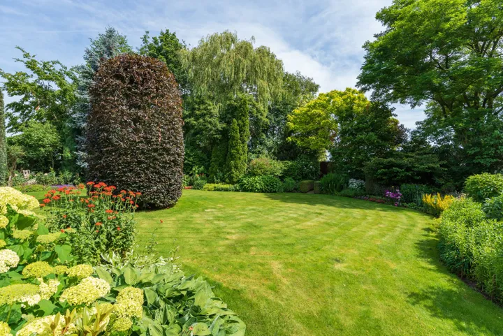 Foto van de siertuin 8