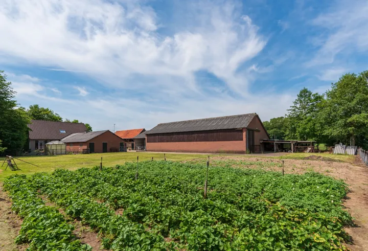 Woning en omgeving 5