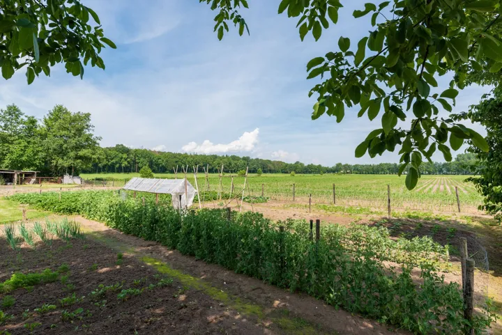 Woning en omgeving 6